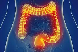 Homeopathic solutions for Gastro intestinal disorders